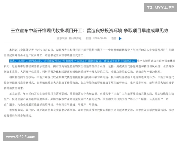 老将经济学兴起高龄后卫溢价转会市场格局悄然变化 老将经济学兴起高龄后卫溢价转会市场格局悄然变化